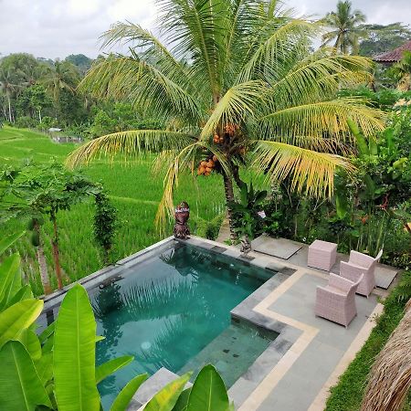 Dukuh Village Villas & Art Tegallalang  Exterior photo
