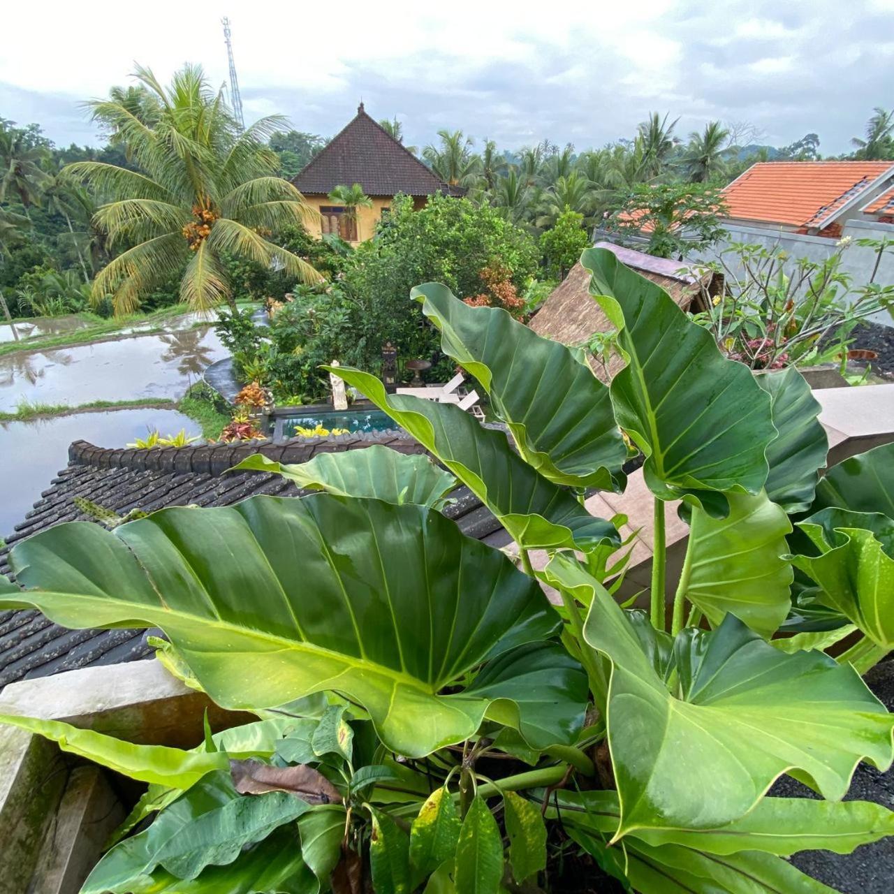 Dukuh Village Villas & Art Tegallalang  Room photo