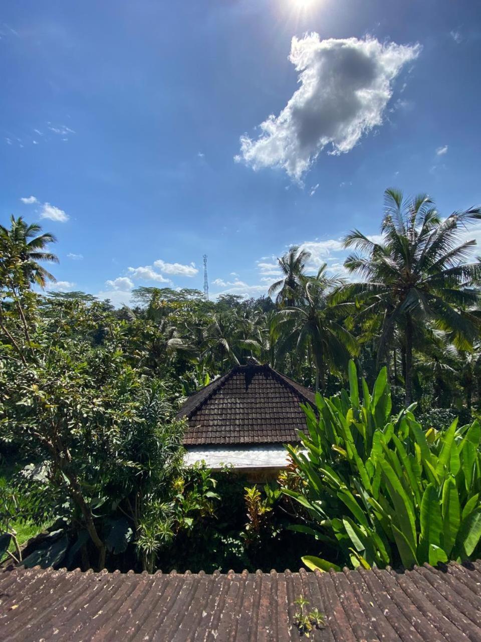 Dukuh Village Villas & Art Tegallalang  Room photo