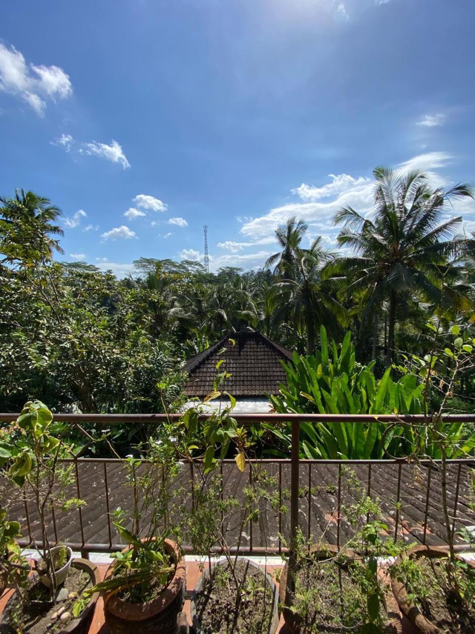 Dukuh Village Villas & Art Tegallalang  Room photo