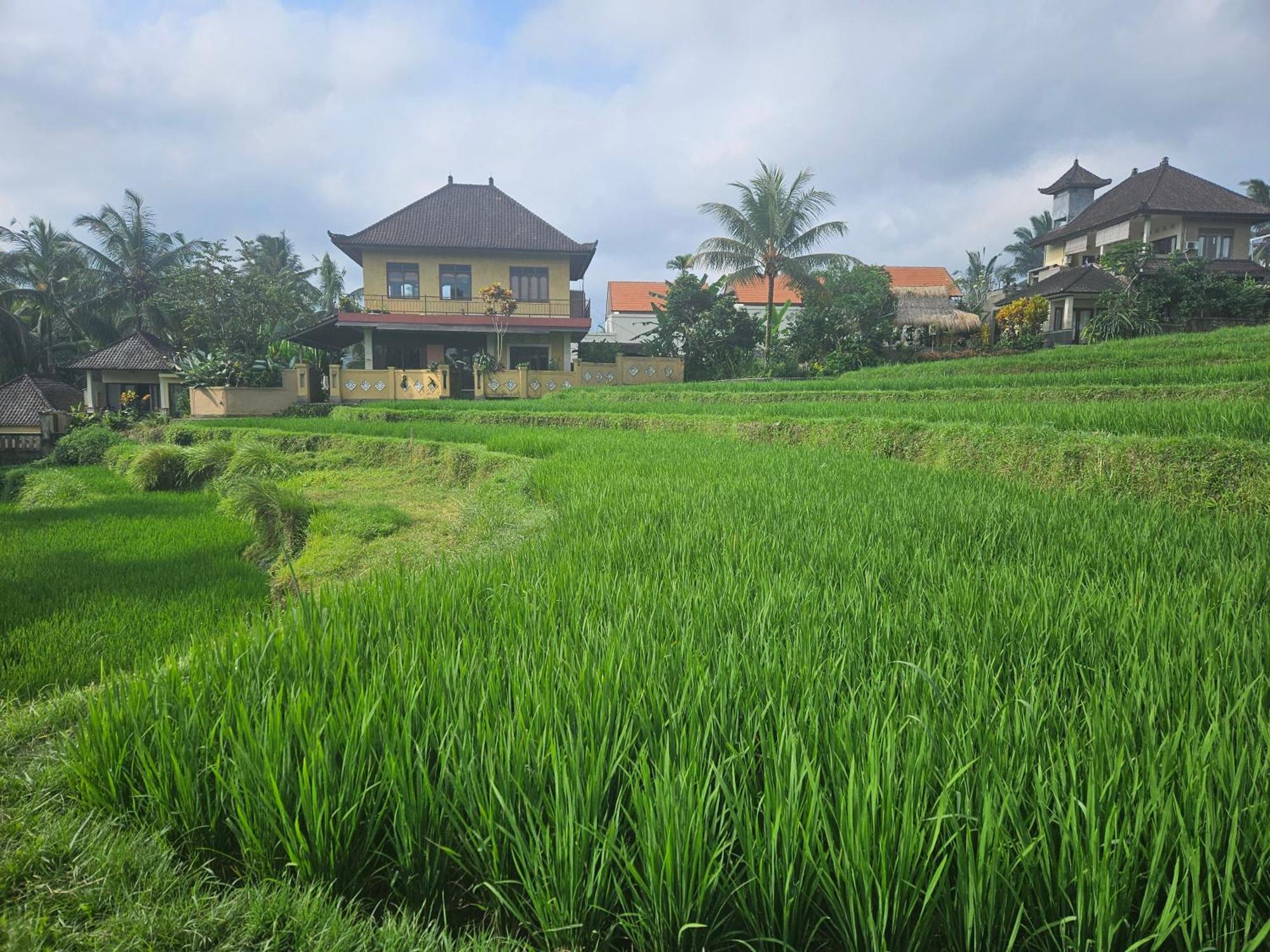 Dukuh Village Villas & Art Tegallalang  Exterior photo